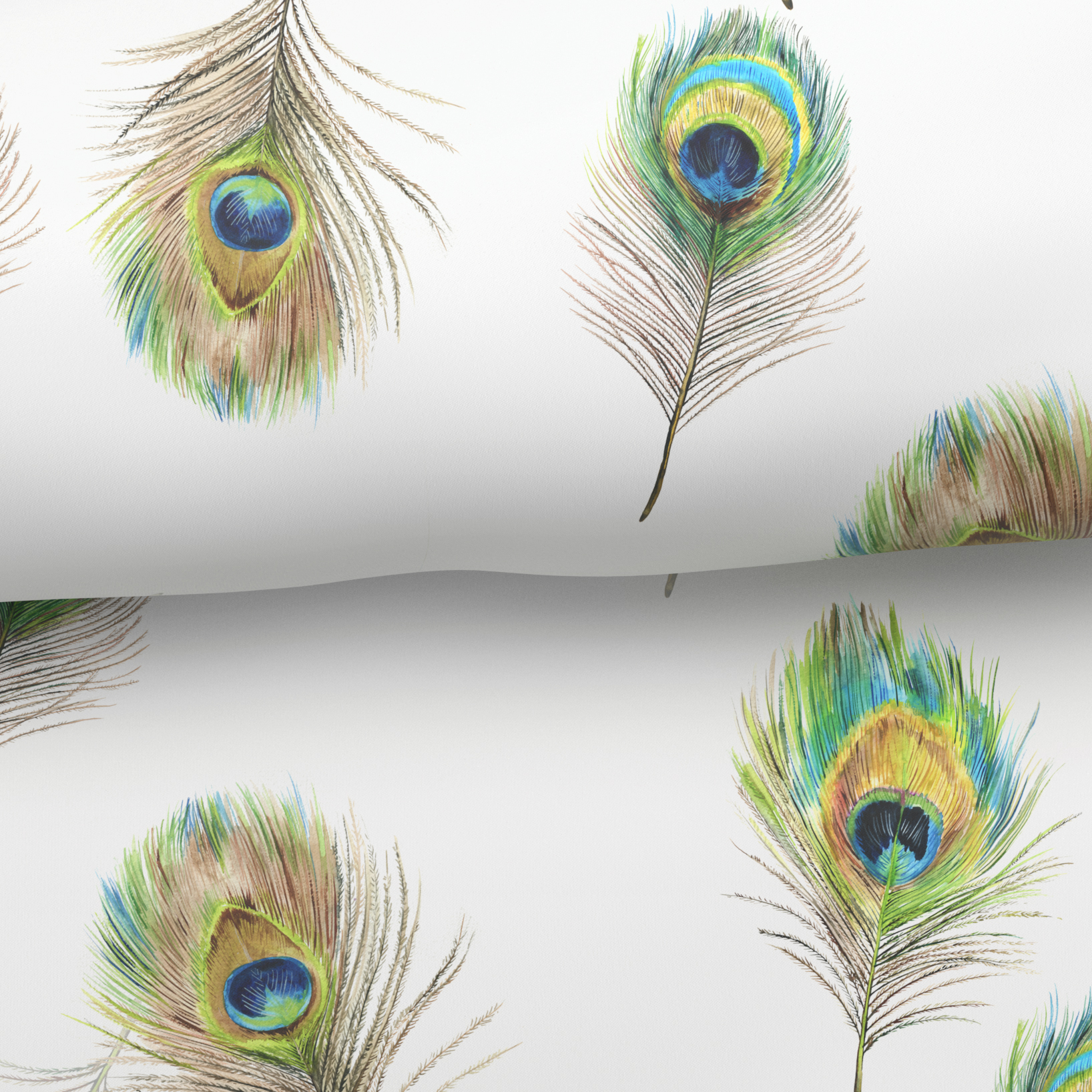 PAVO